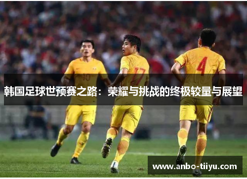 韩国足球世预赛之路：荣耀与挑战的终极较量与展望