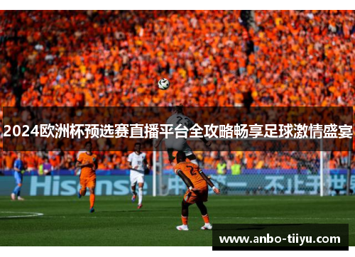 2024欧洲杯预选赛直播平台全攻略畅享足球激情盛宴