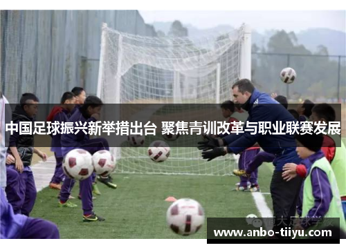 中国足球振兴新举措出台 聚焦青训改革与职业联赛发展